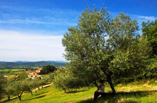 a woman sitting under a tree on a hill at Wine Resort Conti di San Bonifacio in Montemassi
