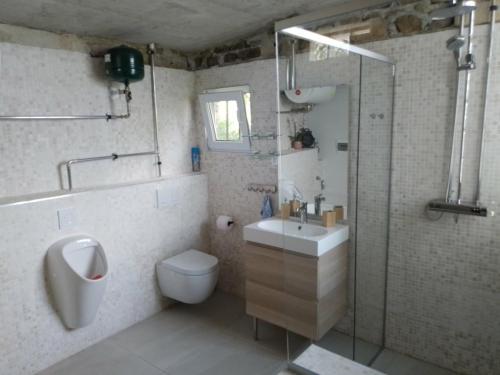 a bathroom with a sink and a toilet and a shower at Olive Gardens Cottage above Portorož in Strunjan
