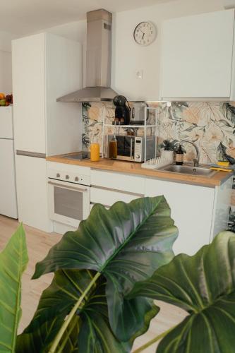 Andalusian Stay I