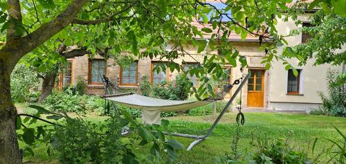 a hammock hanging from a tree in front of a house at Ferienhaus Pathe in Neuendorf bei Wendisch Buchholz