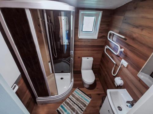 a bathroom with a shower and a toilet and a sink at Trobelė miške in Palazdžiai