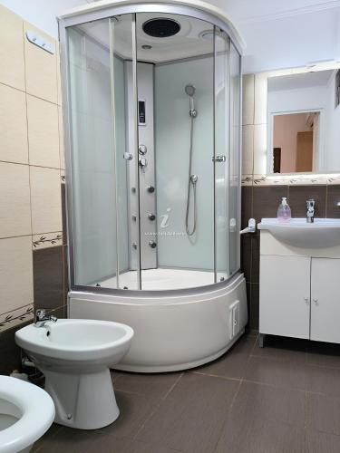 a bathroom with a shower and a toilet and a sink at Cabana Ogradena in Eşelniţa
