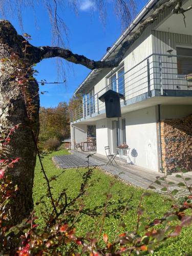a house with a porch and a bird house at Apartment Marialis in Bizau
