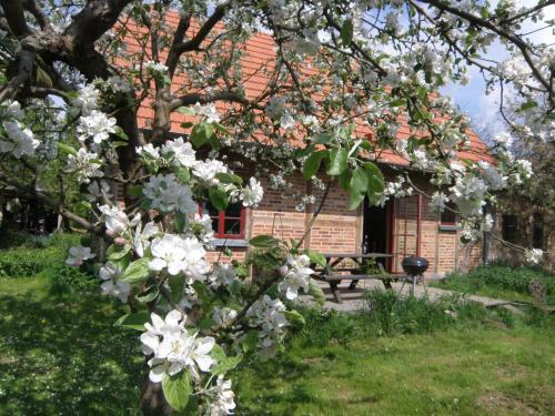 a tree with white flowers in front of a house at Ferienhaus Apfelhof in Tressow