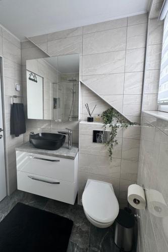 a bathroom with a sink and a toilet in it at Lux Atina Bač in Bač