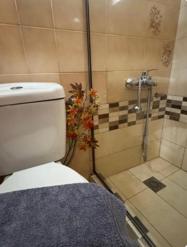ein Badezimmer mit Toilette und Dusche mit einer Pflanze in der Unterkunft Καμέλια 3 in Fiskardo