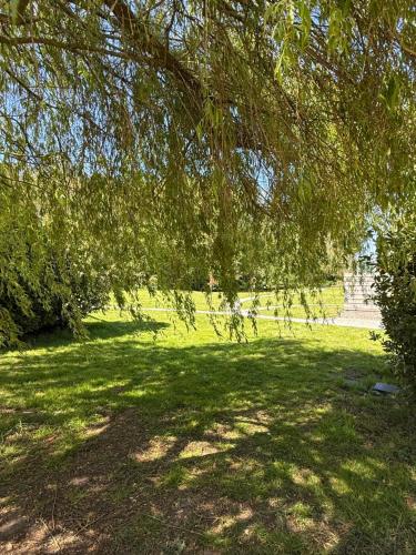 Fox Lodge at Owlet Hideaway - with Hot Tub, Near York photo 19