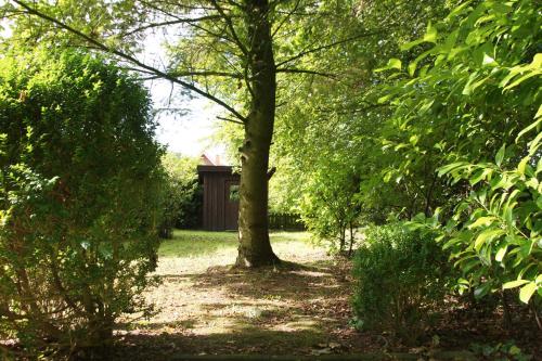 a garden with trees and a building in the distance at Haus Theene in Südbrookmerland