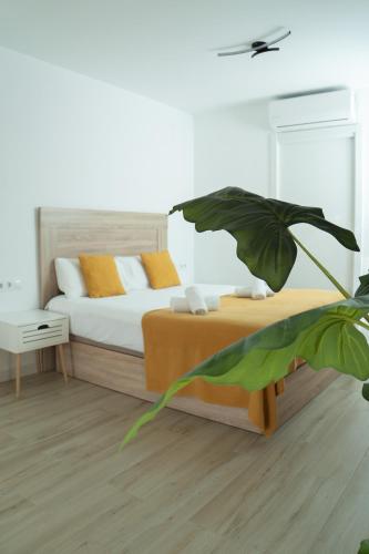 Andalusian Stay III