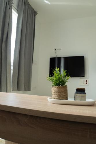 Andalusian Stay III