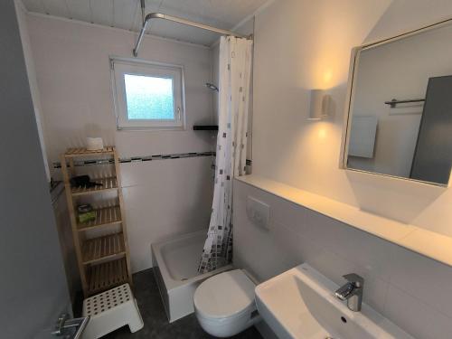 a bathroom with a sink and a toilet and a mirror at Westerbergen Haus "leucht blick" in Westfehmarn