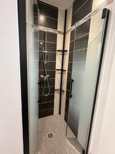 a shower with a glass door in a bathroom at Gîte Ghislaine in Péaule