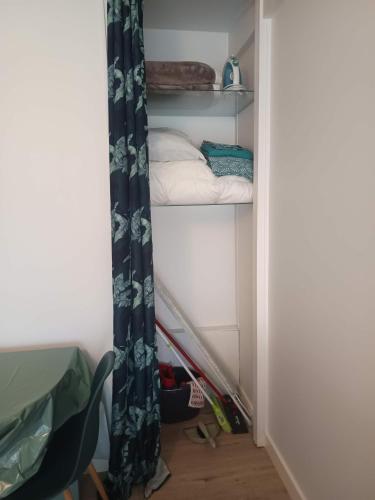 a room with a shower curtain and some towels at Appartement T1 et petite terrasse in Artiguelouve