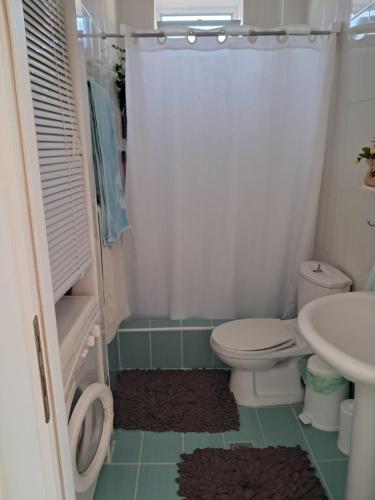 a bathroom with a toilet and a sink at Dinas house ofrinio in Ofrínion