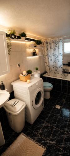 a bathroom with a toilet and a washing machine at KilkisLuxuryApartment in Kilkis
