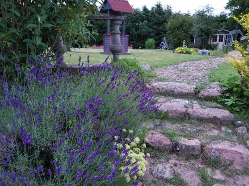 a garden with purple flowers and a bird bath at Pribbenower Ferienhaus in Pribbenow