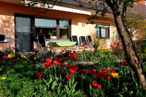 a garden of flowers in front of a house at Ferienwohnung Abendsonne in Neuhof
