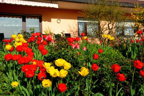 a field of colorful flowers in front of a house at Ferienwohnung Abendsonne in Neuhof