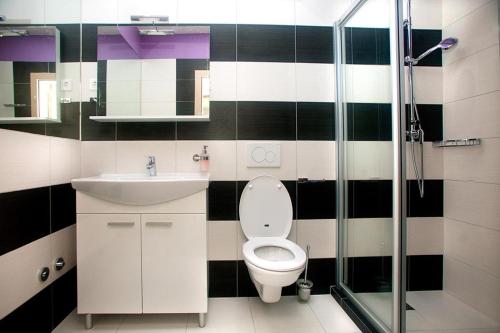a bathroom with a toilet and a sink and a shower at Apartmani Daška II in Njivice