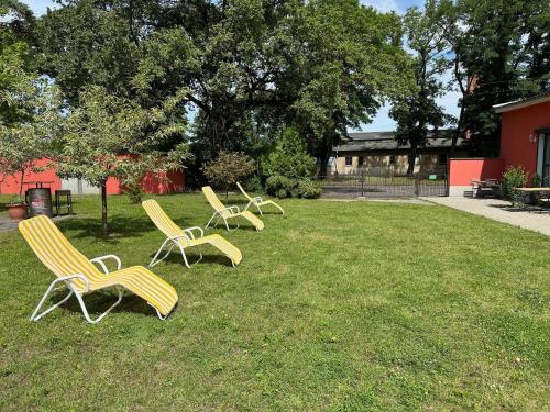 four yellow chairs sitting on the grass in a yard at Bed & Breakfast am Waldgürtel in Forst
