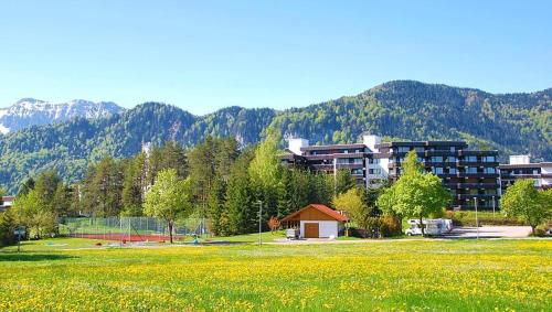 a large field of yellow flowers in front of a building at Ferienappartements Weissensee in Füssen