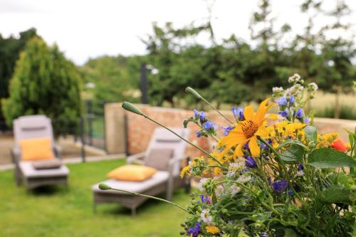 a garden with two chairs and flowers in the yard at SeeNest Lieske in Lieske
