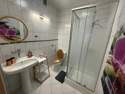 a bathroom with a toilet and a sink and a shower at POD SOSNAMI - ul Dominicka 28 in Boszkowo