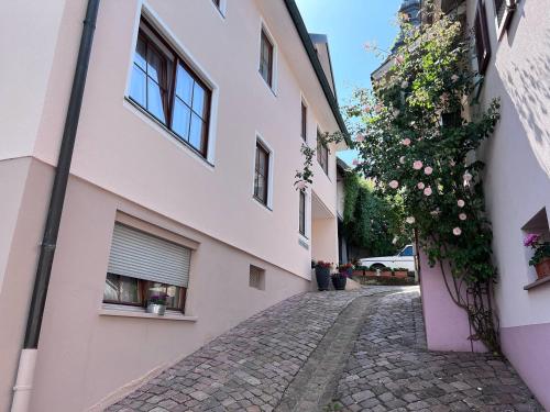 an alley in a building with a flowering plant at Ferienwohnung Furtwängler in Ettenheim