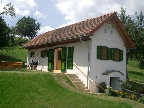 a small white house with green shuttered windows at Kellerstöckl Leitner in Strem