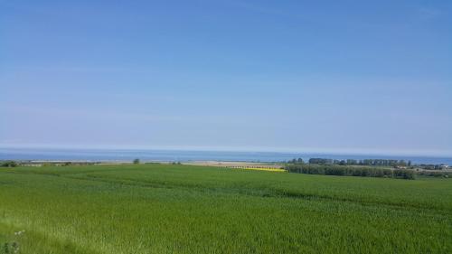 a field of green grass with the ocean in the background at Ferienwohnung und Ferienzimmer in Neubukow