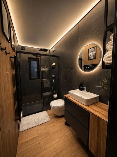 a bathroom with a sink and a toilet and a mirror at M&M Apartment Air Conditioning Garage in Adenau