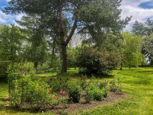 a garden with a tree and flowers in the grass at Ferienwohnung Alte Dorfschule in Lüssow