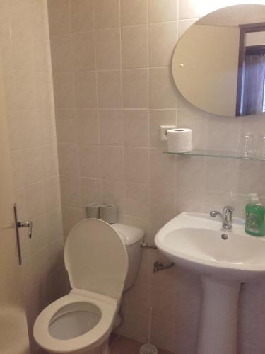 a bathroom with a toilet and a sink at Hotel Anna in Harrachov