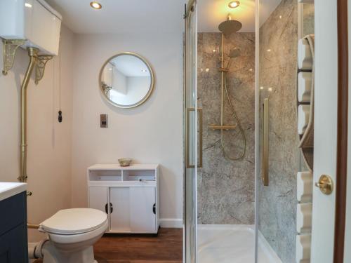 a bathroom with a toilet and a shower at 6 Bedford Place in Bridport