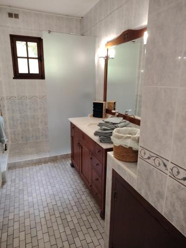 a bathroom with a sink and a mirror at L échappée verte in Gien