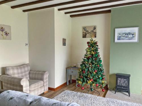 a living room with a christmas tree and a couch at Towy Cottage - Uk49589 in Llansawel