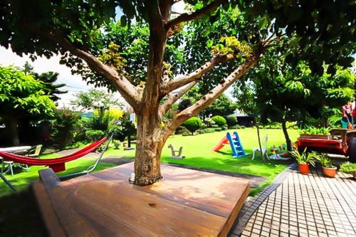 a tree with a hammock under it in a park at Taichung Xinshe Garden Life Homestay B&B in Xinshe
