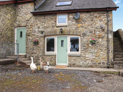 three ducks standing outside of a stone house at Teifi Cottage - Uk49590 in Llansawel