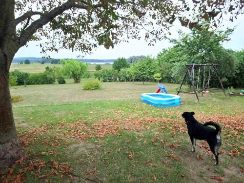 a black dog standing next to a swing set at Ferienwohnung Zum Seeblick in Dahmen