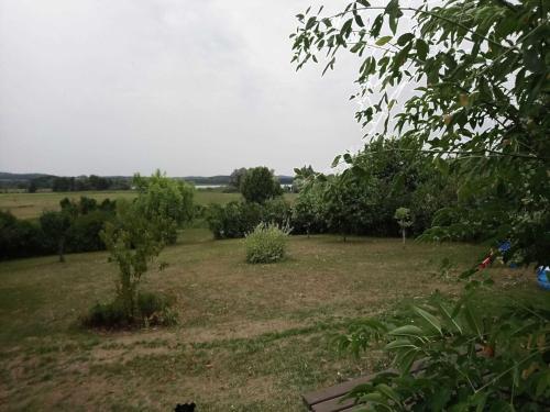 a field with bushes and trees in the distance at Ferienwohnung Zum Seeblick in Dahmen