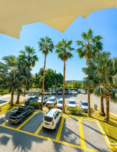 a parking lot with palm trees and cars at Apartamento Vista Jardim in São Domingos