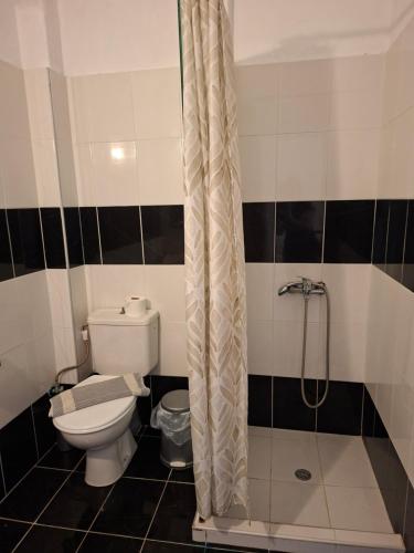 a bathroom with a toilet and a shower at Studio Lazaridi in Skala Rachoniou