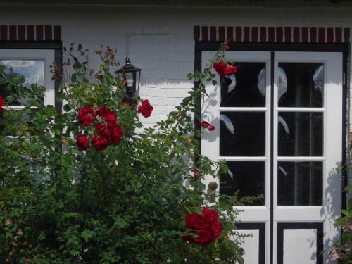 a door with red roses in front of a house at Luckow Georg Asmussen Haus in Pommerby