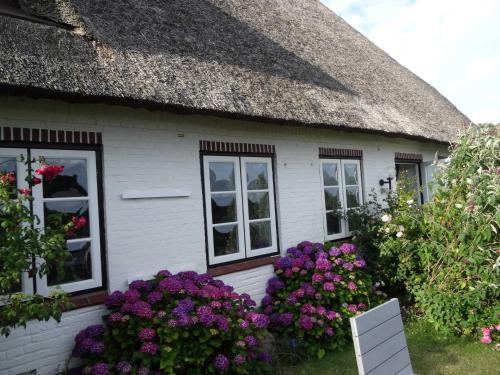 a white house with flowers in front of it at Luckow Georg Asmussen Haus in Pommerby