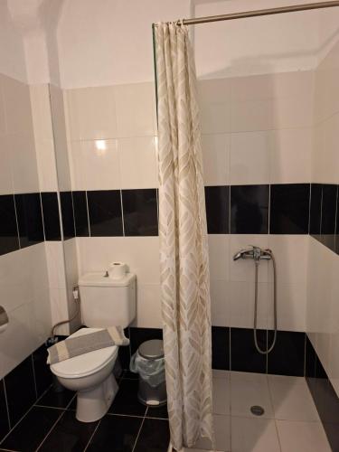 a bathroom with a toilet and a shower at Studio Lazaridi in Skala Rachoniou