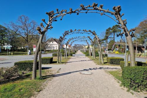 a walkway with an arch with trees in a park at Ferienwohnung Graugans in Baabe