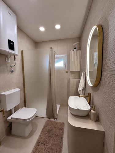 a bathroom with a toilet and a sink and a mirror at Marva stylish Mediterranean accomodation with beautiful view in Zubovići