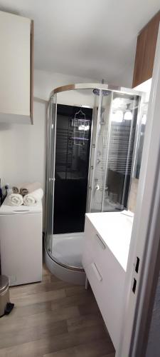 ein Badezimmer mit Dusche, Waschbecken und Spiegel in der Unterkunft Parenthèse Alpine in La Plagne Tarentaise