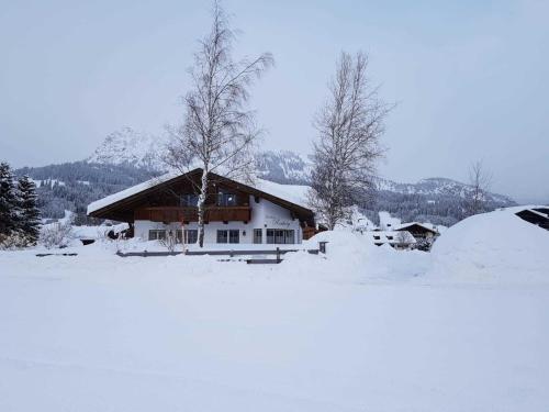 a house is covered in snow with trees at Landhaus Rossberg in Tannheim