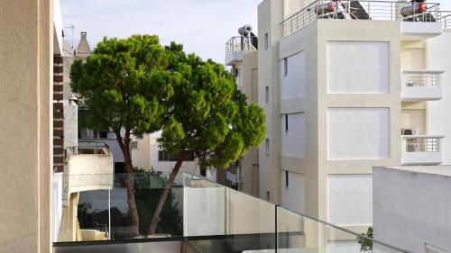 a tree on the balcony of a building at Alimos Escape 3 in Athens